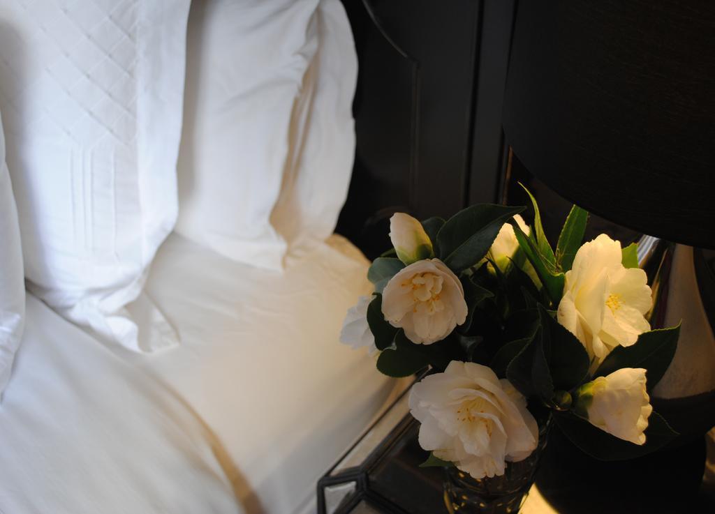 Bed Of Roses Villa Apollo Bay Exterior foto