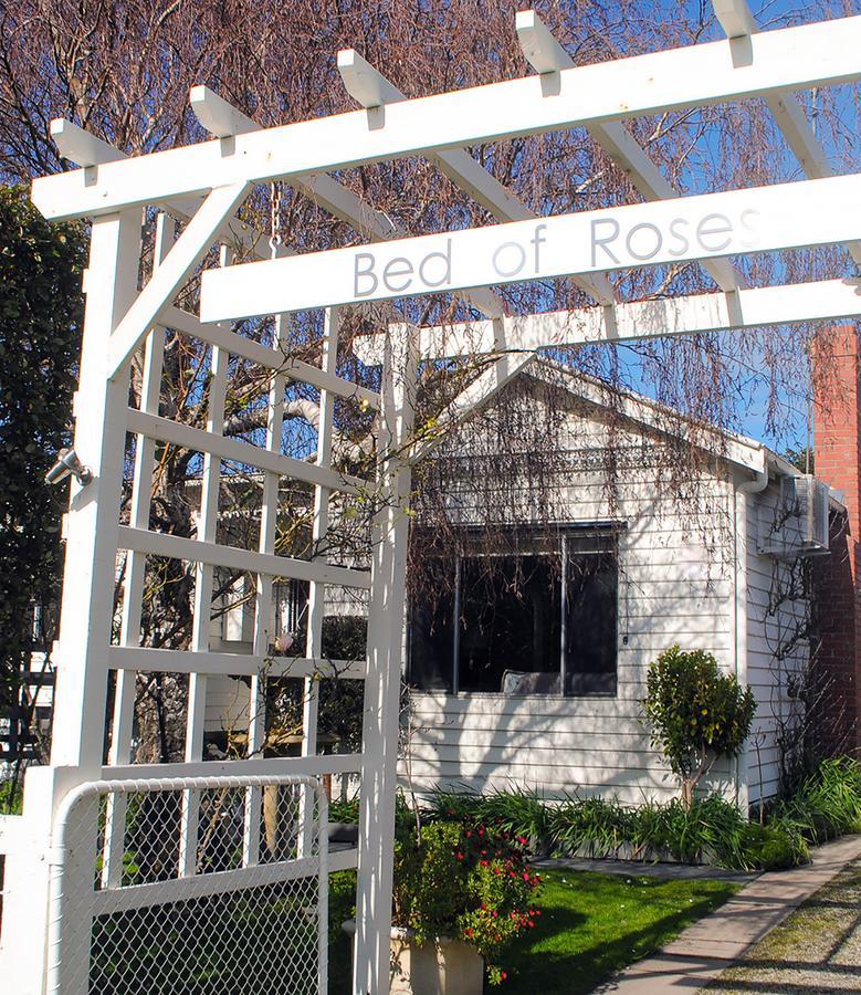 Bed Of Roses Villa Apollo Bay Exterior foto