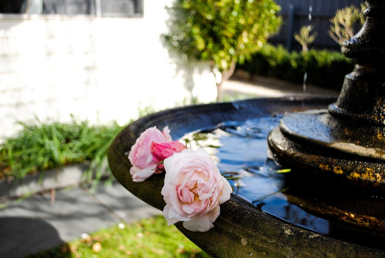 Bed Of Roses Villa Apollo Bay Exterior foto